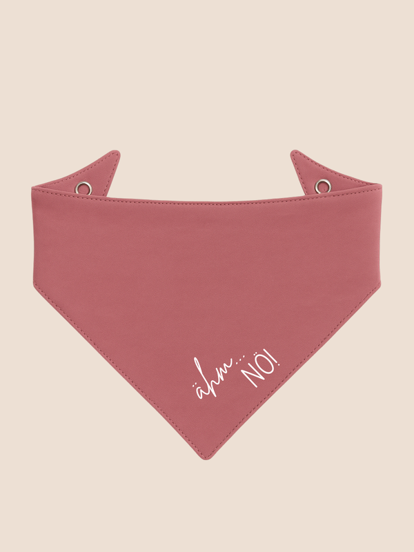 Wendehalstuch "Ähm Nö!!