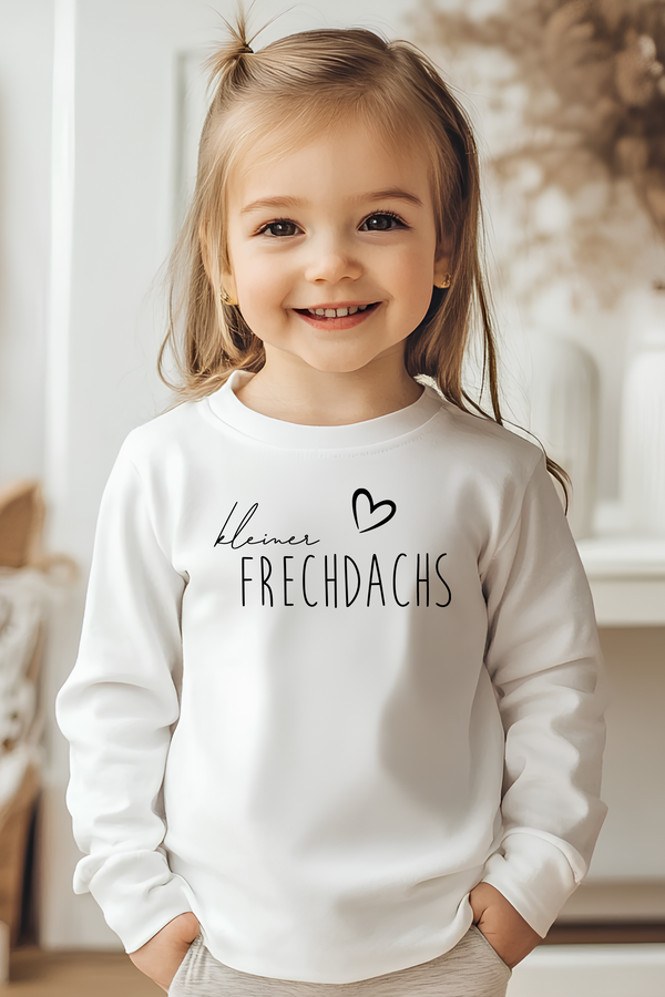 🌱Langarmshirt Kleiner Frechdachs